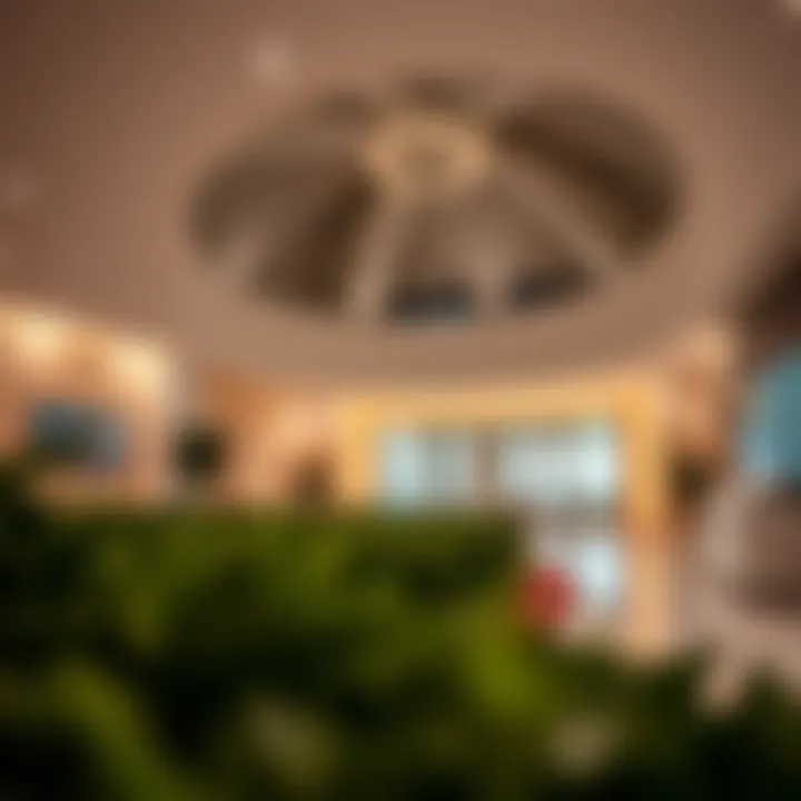 Magnificent A Comprehensive Overview of Zulekha Hospital Al Nahda, Dubai