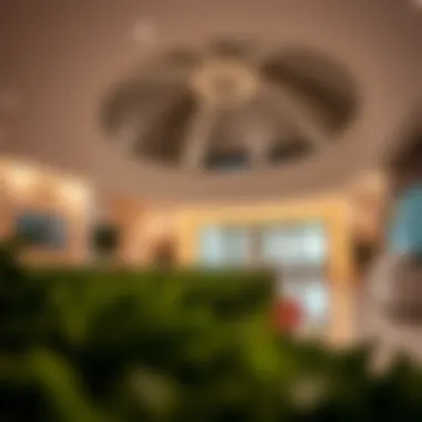 Magnificent A Comprehensive Overview of Zulekha Hospital Al Nahda, Dubai Magnificent A Comprehensive Overview of Zulekha Hospital Al Nahda, Dubai