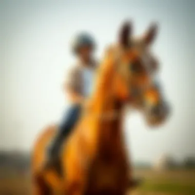 Magnificent Analyzing the Costs of Horse Riding in Dubai