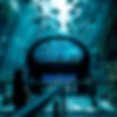 Magnificent Examining the Accessibility of Dubai Aquarium: Costs and Considerations
