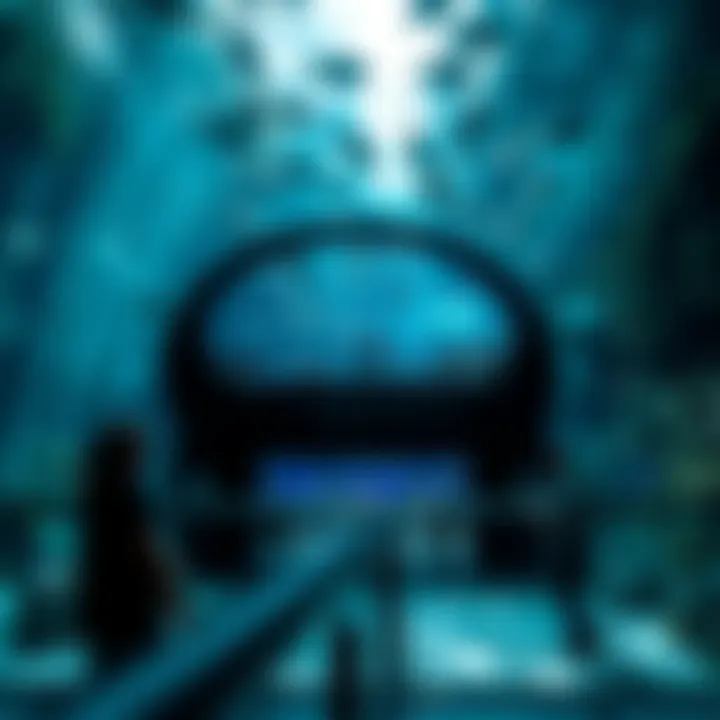 Magnificent Examining the Accessibility of Dubai Aquarium: Costs and Considerations