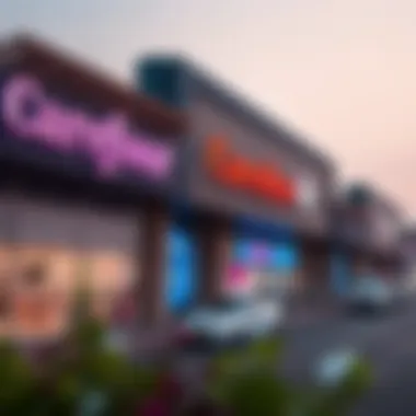 Magnificent Examining the Proximity and Impact of Carrefour Outlets Near Dubai Magnificent Examining the Proximity and Impact of Carrefour Outlets Near Dubai