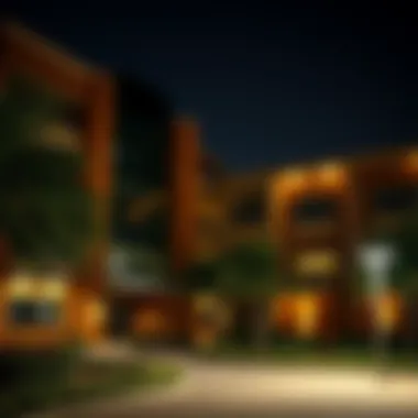 Magnificent Exploring Affordable IB Schools in Dubai Magnificent Exploring Affordable IB Schools in Dubai