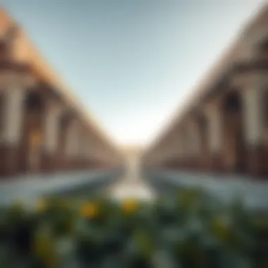 Magnificent Exploring Al-Mubzarah: The Green Eye of Dubai Magnificent Exploring Al-Mubzarah: The Green Eye of Dubai