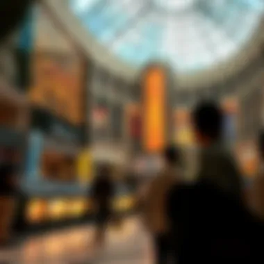 Magnificent Exploring Free Activities at Dubai Mall Magnificent Exploring Free Activities at Dubai Mall