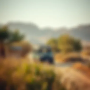 Magnificent Exploring the Safari Experience in Al Ain: An In-Depth Overview Magnificent Exploring the Safari Experience in Al Ain: An In-Depth Overview