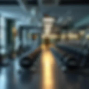 Magnificent Finding Women-Friendly Gyms Near You Magnificent Finding Women-Friendly Gyms Near You