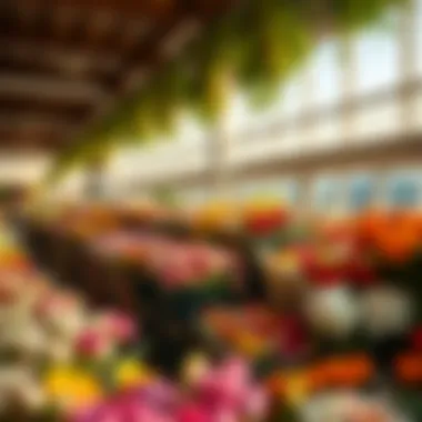 Magnificent Navigating the Floral Landscape: Acquiring Flowers in Dubai Magnificent Navigating the Floral Landscape: Acquiring Flowers in Dubai
