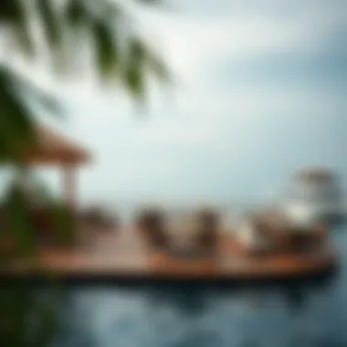 Magnificent Oasis Palm Floating Restaurant: A Culinary Experience Amidst Tranquility