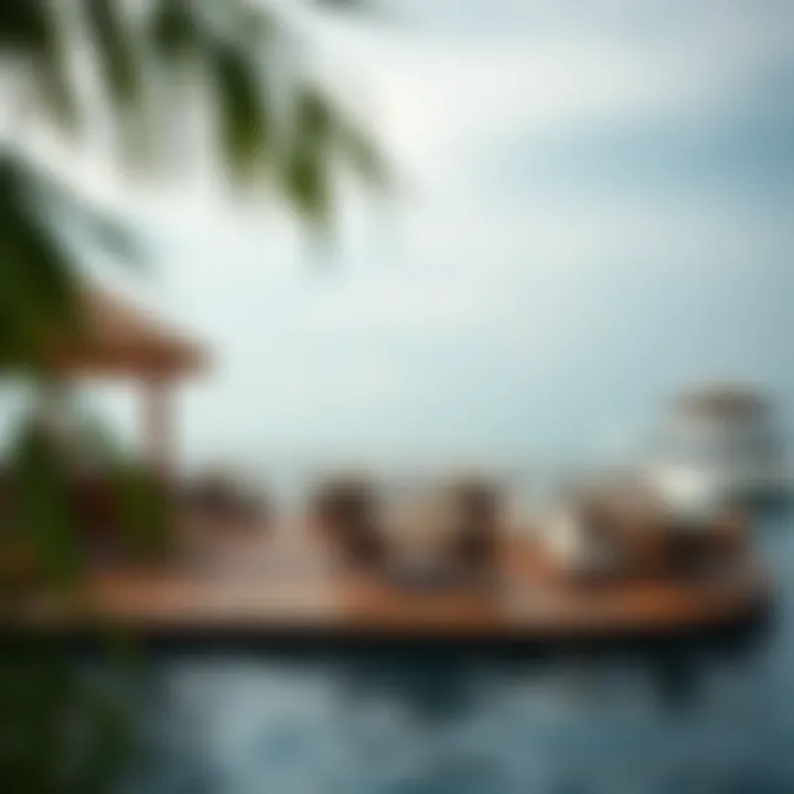 Magnificent Oasis Palm Floating Restaurant: A Culinary Experience Amidst Tranquility