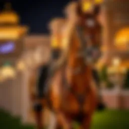 Majestic horse riding at Al Habtoor