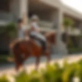 Analyzing the Costs of Horse Riding in Dubai Introduction