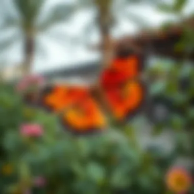 Notable Butterfly Garden in Dubai: An Exploration Notable Butterfly Garden in Dubai: An Exploration