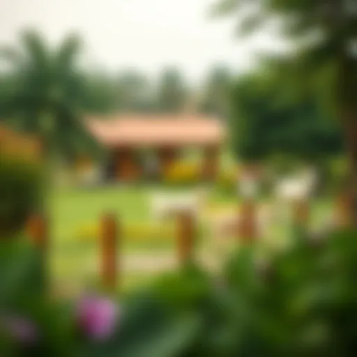 A serene view of the Damac Hills Pet Farm showcasing lush greenery and animals