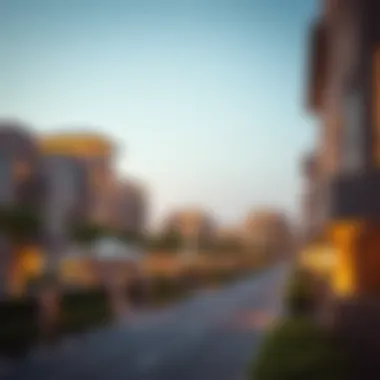 Real estate investment opportunities in District 15 JVC