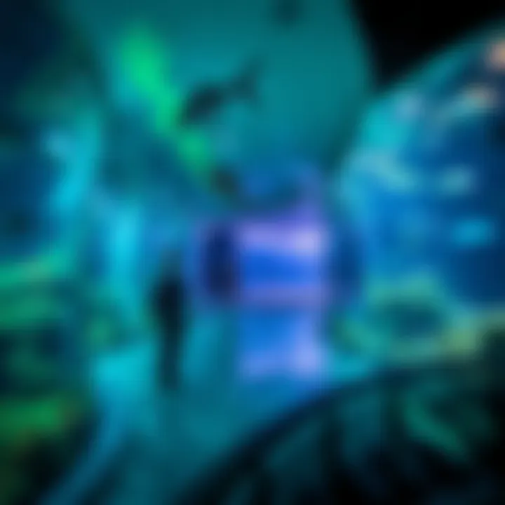 Examining the Accessibility of Dubai Aquarium: Costs and Considerations Summary