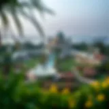 A panoramic view of Al-Hamideyah Jasmine Garden showcasing lush greenery and floral diversity