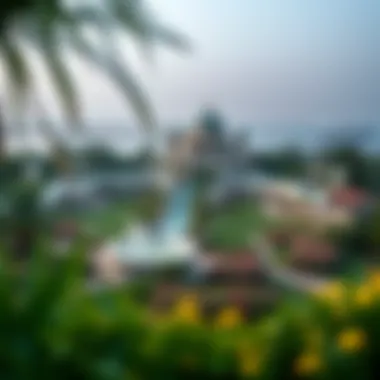 Panoramic View of Al-Hamideyah Jasmine Garden A panoramic view of Al-Hamideyah Jasmine Garden showcasing lush greenery and floral diversity
