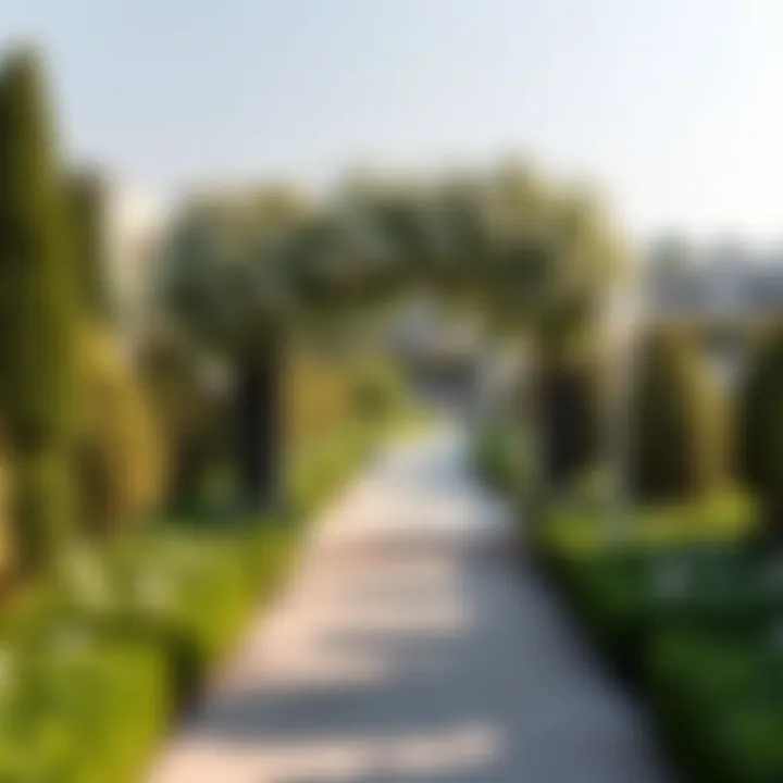 Serene Pathway in Al-Hamideyah Jasmine Garden A serene pathway in the garden inviting visitors to explore its tranquil environment