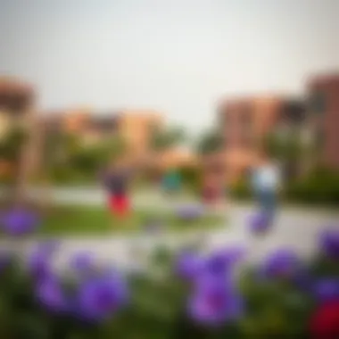 Vibrant community park in Al Maya with families enjoying recreational activities