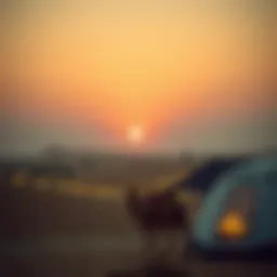 Breathtaking view of Dubai desert at sunset