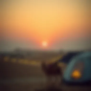 Enchanting Desert Sunset in Dubai Breathtaking view of Dubai desert at sunset
