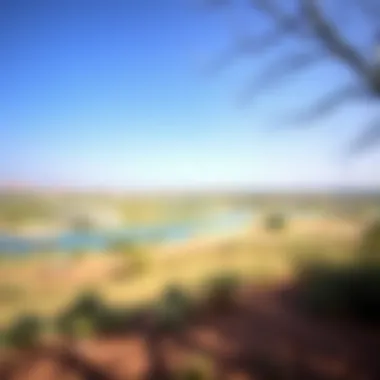 Nature's Beauty in Dubai's Reserves Scenic view of a nature reserve in Dubai
