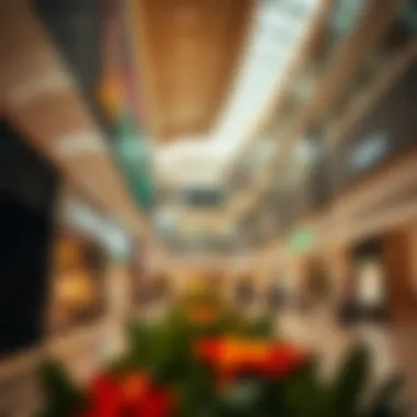Luxurious shopping experience inside Damac Mall