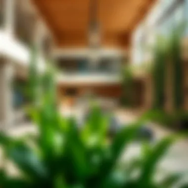 Amenities at Damac Park Greens An inviting common area showcasing the lush amenities and recreational spaces at Damac Park Greens