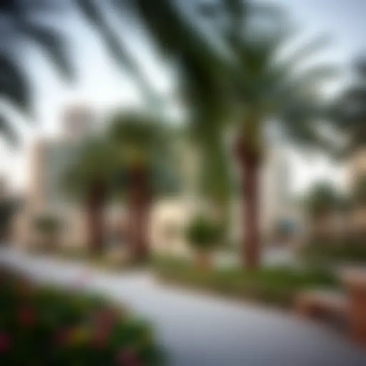 Exploring Dubai Parks: A Comprehensive Guide Summary