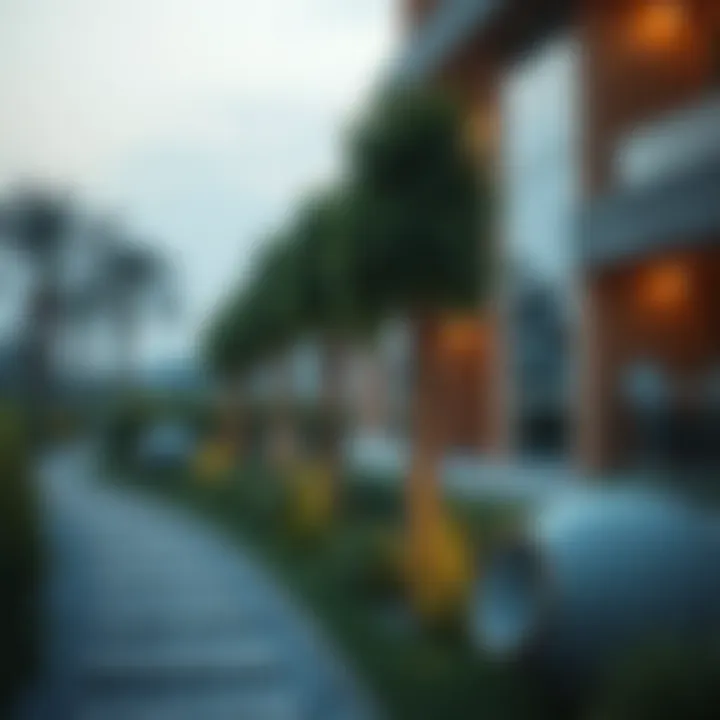 Exploring Ghantoot Landscaping: Insights for a Sustainable Future Summary