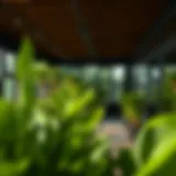 Exploring Green View 3 in Tecom Introduction