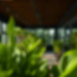 Exploring Green View 3 in Tecom Introduction