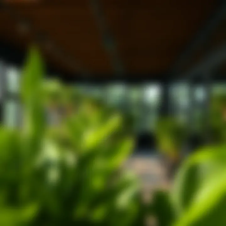 Exploring Green View 3 in Tecom Introduction
