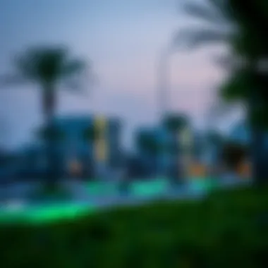 Exploring Jebel Ali and Discovery Gardens Summary Exploring Jebel Ali and Discovery Gardens Summary