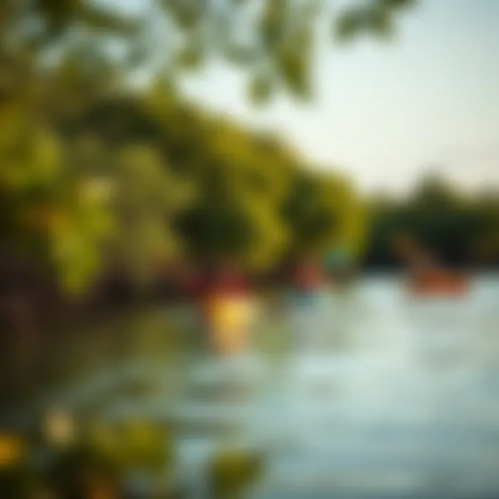Kayaking Adventure in Mangrove Beach A tranquil scene of Kayakers exploring the waters around the mangroves