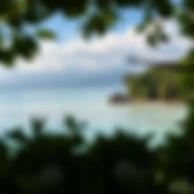 Panoramic Beauty of Mangrove Beach A panoramic view of Mangrove Beach showcasing its lush surroundings and crystal-clear waters
