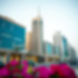 Exploring Mirdif 35: A Visual Journey Introduction
