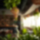 Exploring Pure Veg Restaurants in Nakheel Introduction