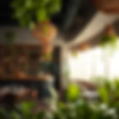 Exploring Pure Veg Restaurants in Nakheel Introduction