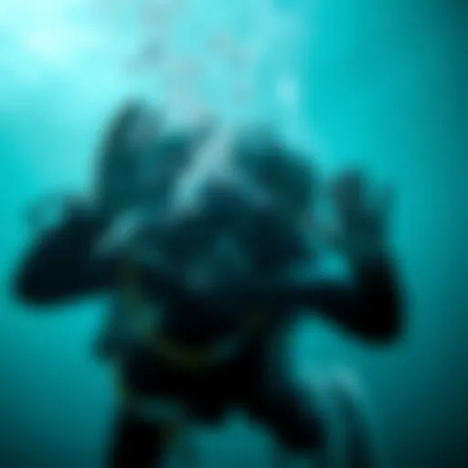Exploring Sea Diving in Dubai: An In-Depth Guide Introduction