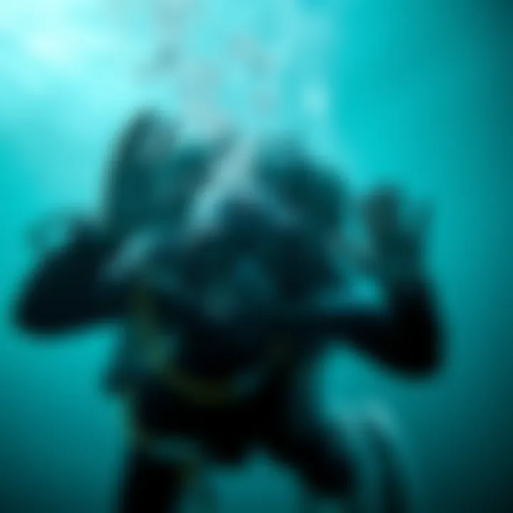 Exploring Sea Diving in Dubai: An In-Depth Guide Introduction
