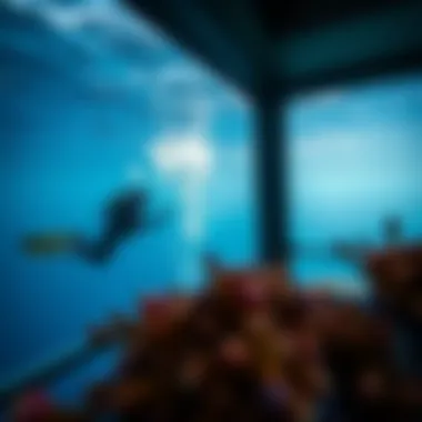 Exploring Sea Diving in Dubai: An In-Depth Guide Summary Exploring Sea Diving in Dubai: An In-Depth Guide Summary