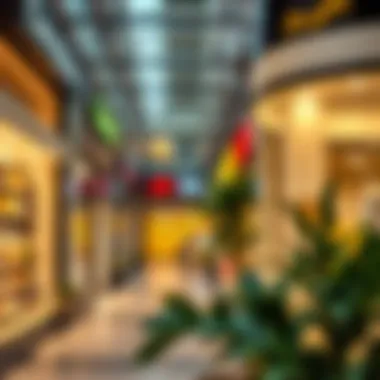 Exploring the Convenience of Affordable Shopping: A Comprehensive Guide to One to Twenty Dirham Shops Nearby Summary Exploring the Convenience of Affordable Shopping: A Comprehensive Guide to One to Twenty Dirham Shops Nearby Summary