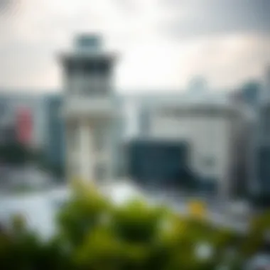 Notable Exploring the Function and Impact of Observation Towers in Urban Landscapes