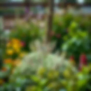 Notable Exploring the Garden Miracle: Sustainable Practices and Transformative Impacts Notable Exploring the Garden Miracle: Sustainable Practices and Transformative Impacts