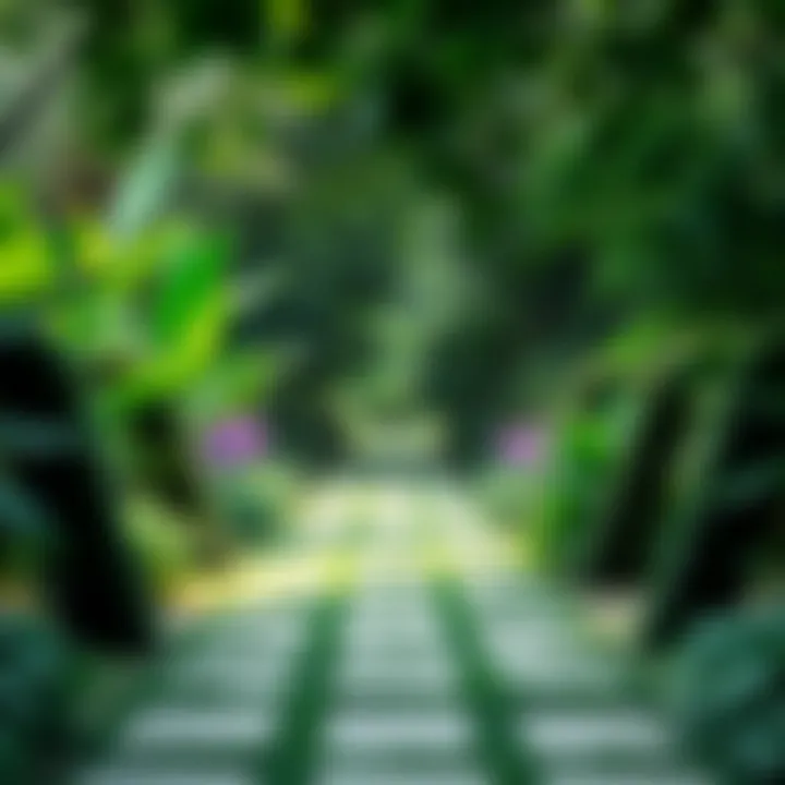 Lush Green Spaces and Pathways in the Garden Overview of lush green spaces and pathways