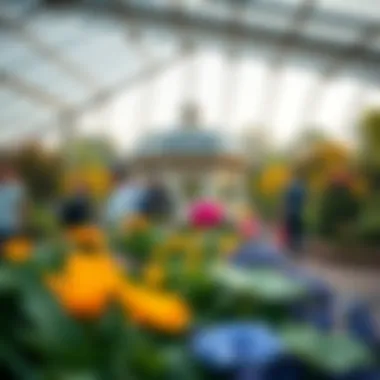 Notable Exploring the Miracle Garden: Operational Insights and Visitor Information Notable Exploring the Miracle Garden: Operational Insights and Visitor Information