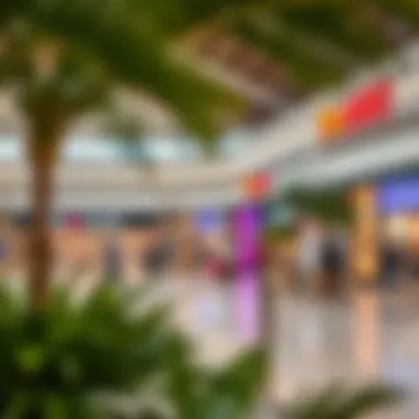 Notable Exploring the Outlet Mall in Jebel Ali Free Zone Notable Exploring the Outlet Mall in Jebel Ali Free Zone