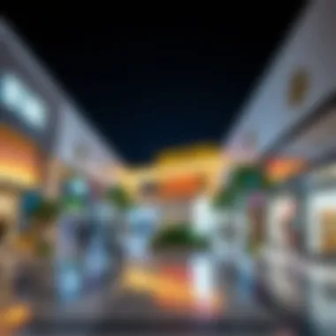 Exploring the Outlet Mall in Jebel Ali Free Zone Summary